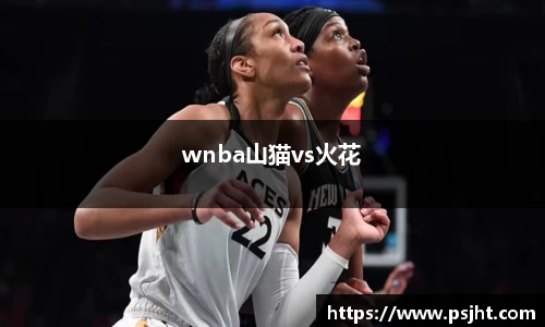 wnba山猫vs火花