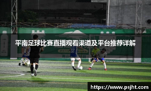 平南足球比赛直播观看渠道及平台推荐详解