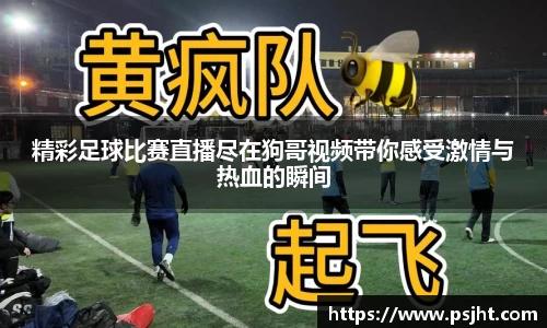 精彩足球比赛直播尽在狗哥视频带你感受激情与热血的瞬间