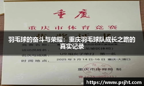 羽毛球的奋斗与荣耀：重庆羽毛球队成长之路的真实记录